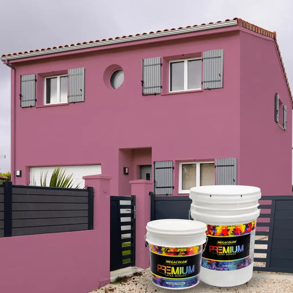 GALON - LATEX PREMIUM FUCSIA - 0406024-01