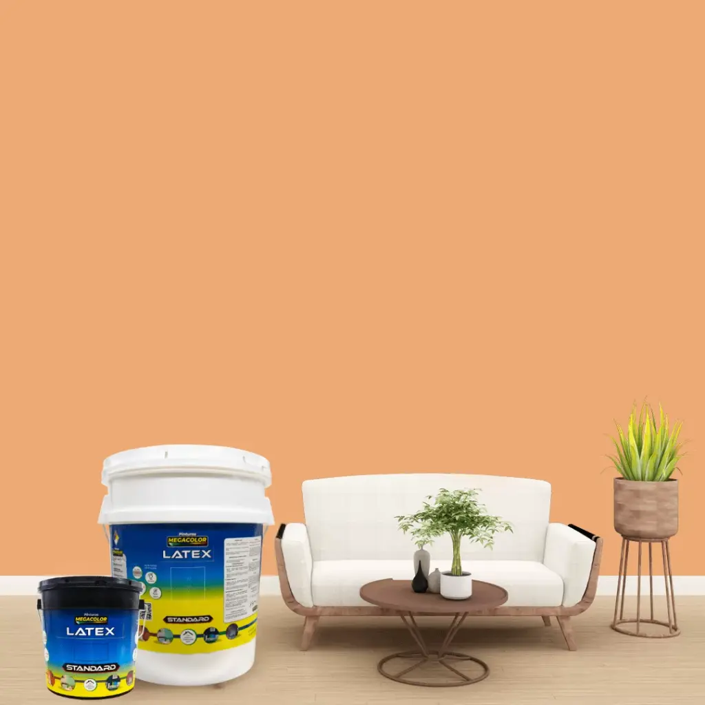 GALON - LATEX STANDARD MELON - 0403025-01