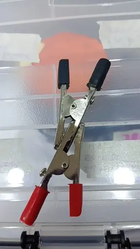 [NB-341] CAIMAN-50MM R/N PAR (GY1-2043)