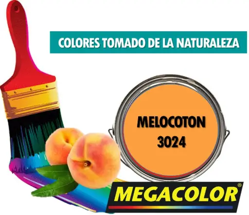[0403024-05] CUBETA- LATEX STANDARD MELOCOTON 3024